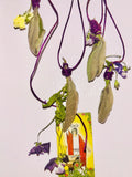 Mini Sage Bundles